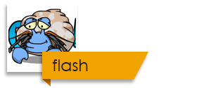 Flash